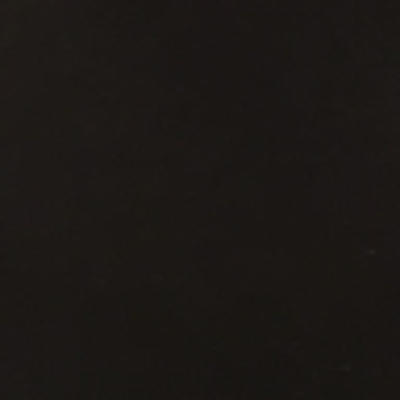 Meet your Posher, Riley - Picture 1 of 1